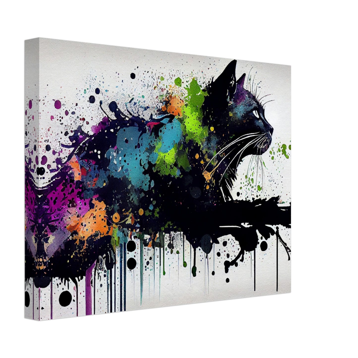 Midnight Whiskers Canvas