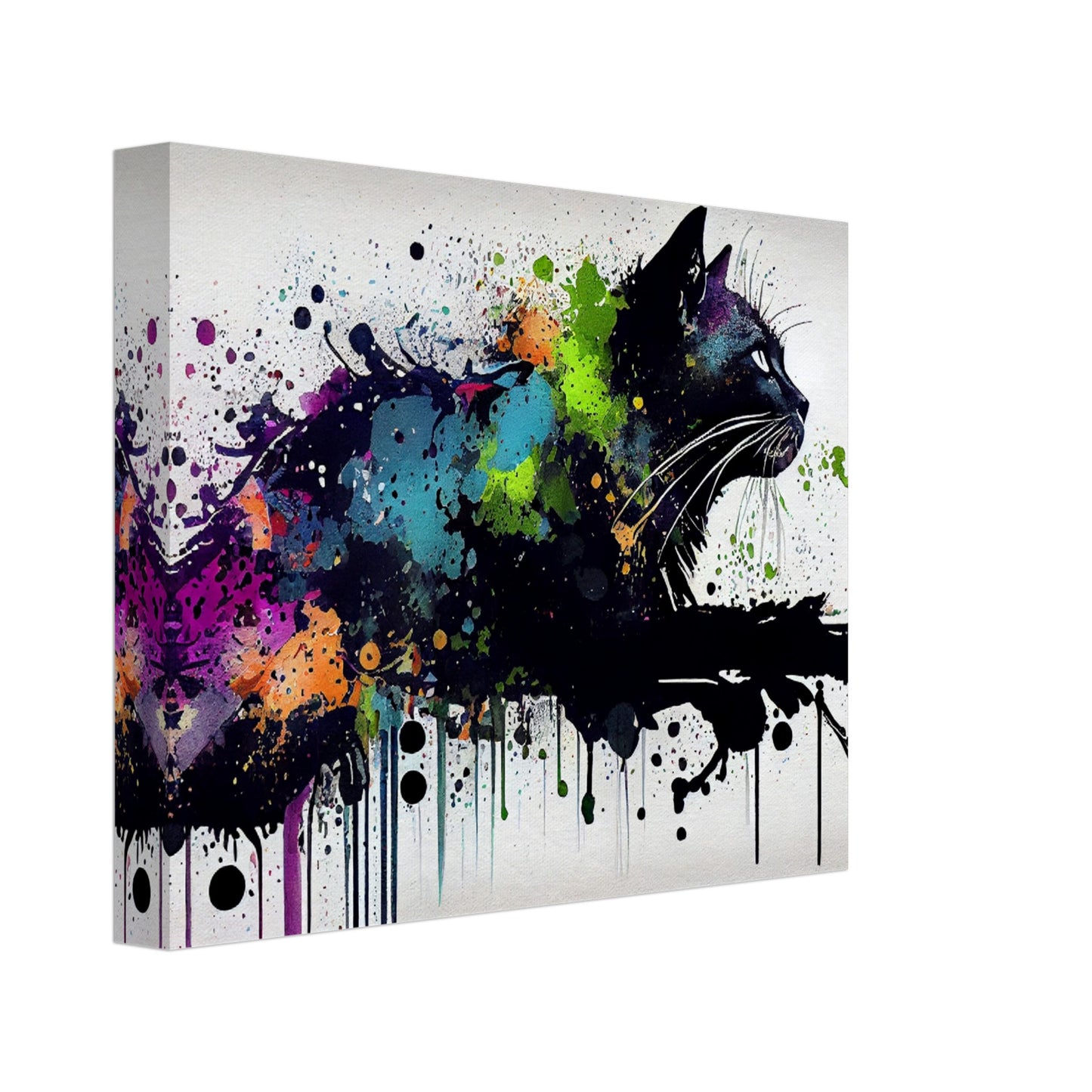 Midnight Whiskers Canvas