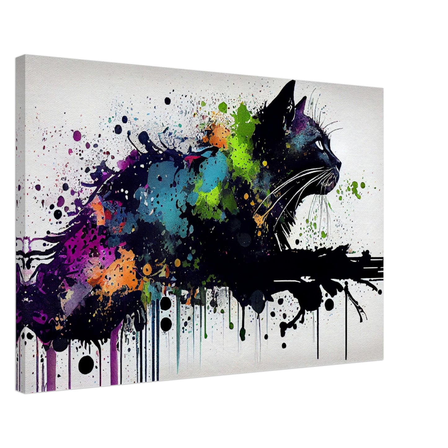 Midnight Whiskers Canvas